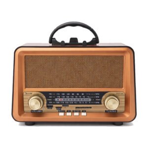 Golon Radio RX-BT1006